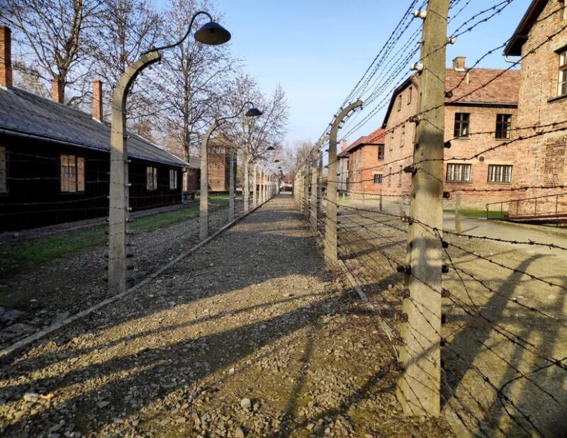 Oswiecim: Auschwitz-Birkenau Skip-the-Line Entry Tickets - The Guided Tour: Expertise and Narrative Style