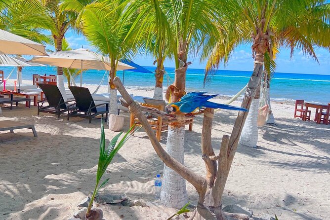 Otoch Mayan Experience Tour: Cultural & Historical Adventure - Practicalities: Group Size, Weather, and Accessibility