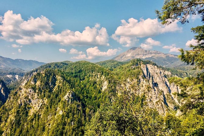 Ötschergräben Grand Canyon of Austria - The Value and Unique Appeal of the Tour