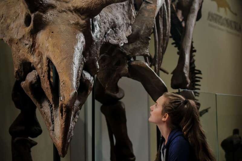 Ottawa: Canadian Museum of Nature Admission - Interactive Exhibits and Live Creatures