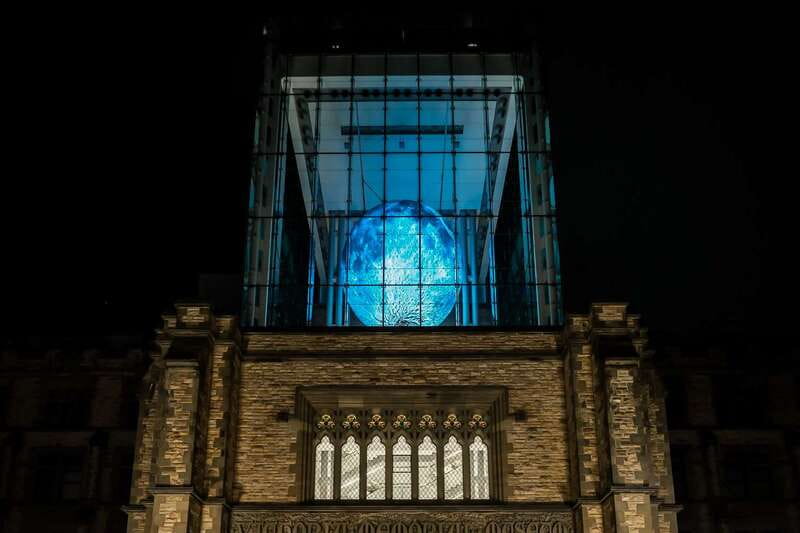 Ottawa: Canadian Museum of Nature Admission - The Special Exhibit: Butterflies in Flight