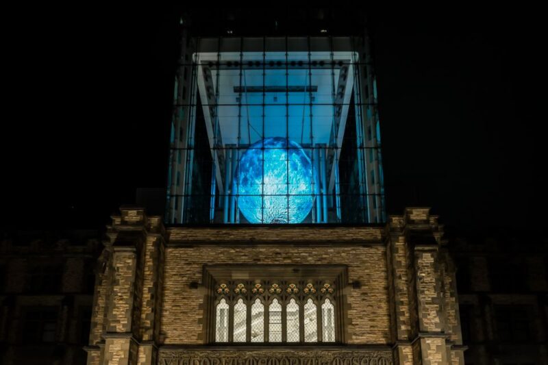 Ottawa: Canadian Museum of Nature Admission - The Man Who Planted Trees: An Immersive Experience
