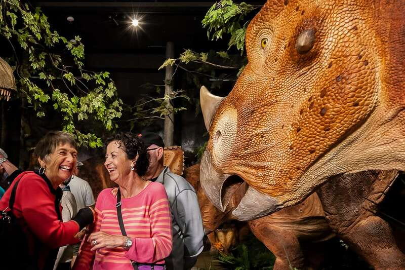 Ottawa: Canadian Museum of Nature Admission - Overall Value and Recommendations