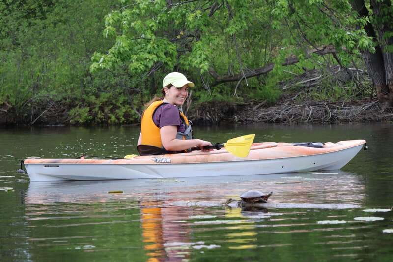 Ottawa: Ecological Reserve Kayak Tour with Turtle Sightings - Key Points