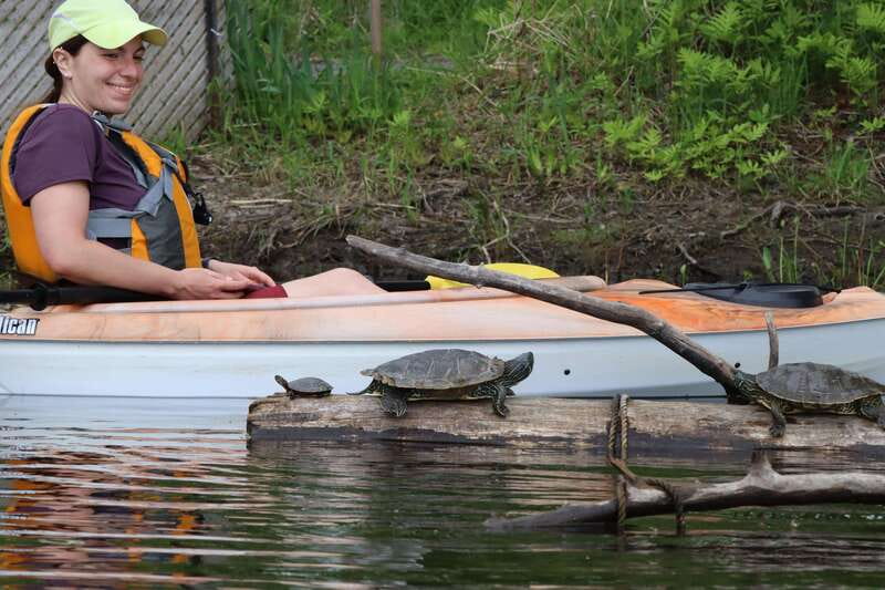 Ottawa: Ecological Reserve Kayak Tour with Turtle Sightings - Guide Expertise and Bilingual Tours
