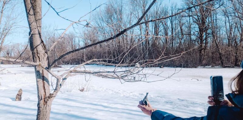 Ottawa: Guided Nature Walk & Wildlife Tour with Hotel Pickup - Key Points