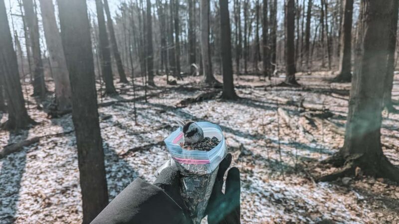 Ottawa: Guided Nature Walk & Wildlife Tour with Hotel Pickup - The Practical Aspects: Booking, Cancellation, and What to Bring