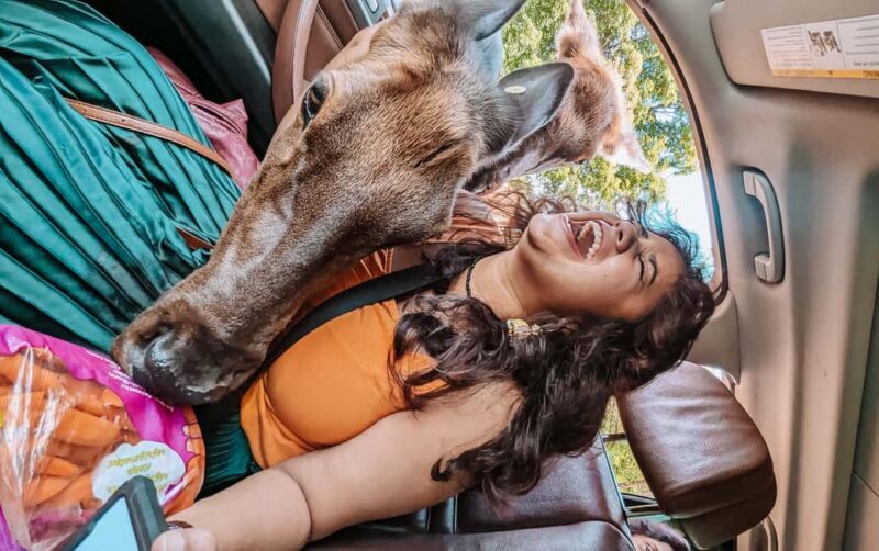 Ottawa: Private Wildlife Adventure Safari in Parc Omega - Key Points