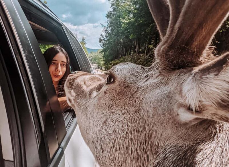 Ottawa: Private Wildlife Adventure Safari in Parc Omega - Seasonal Changes and Their Impact on the Experience