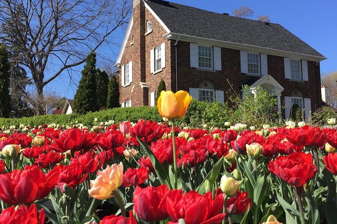Ottawa Spring Tulip Festival Bike Tour - Visiting Little Italy and the Scenic River Pathway