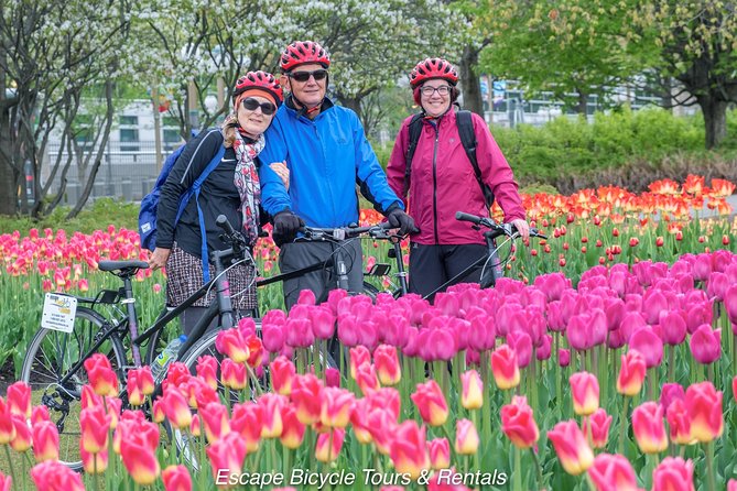 Ottawa Spring Tulip Festival Bike Tour - Considering the Cost and Value