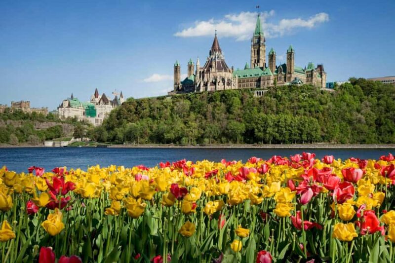 Ottawa: Tulip Festival and ByWard Market Tour - Final Thoughts on the Ottawa Tulip Festival and Market Tour