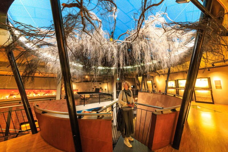 Otterlo: De Hoge Veluwe National Park Entry Ticket - Practical Details: Meeting Points and Accessibility