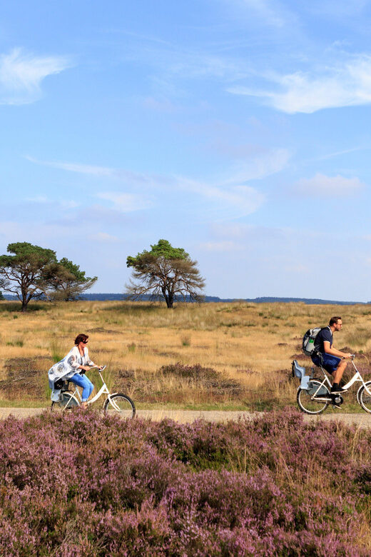 Otterlo: De Hoge Veluwe National Park Entry Ticket - Limitations and Considerations