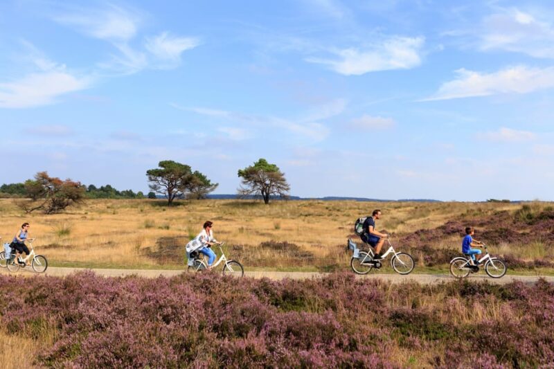 Otterlo: De Hoge Veluwe National Park Entry Ticket - Who Will Love This Tour