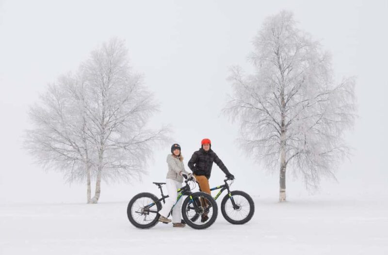 Oulu: Arctic Sea Bike Experience - Key Points