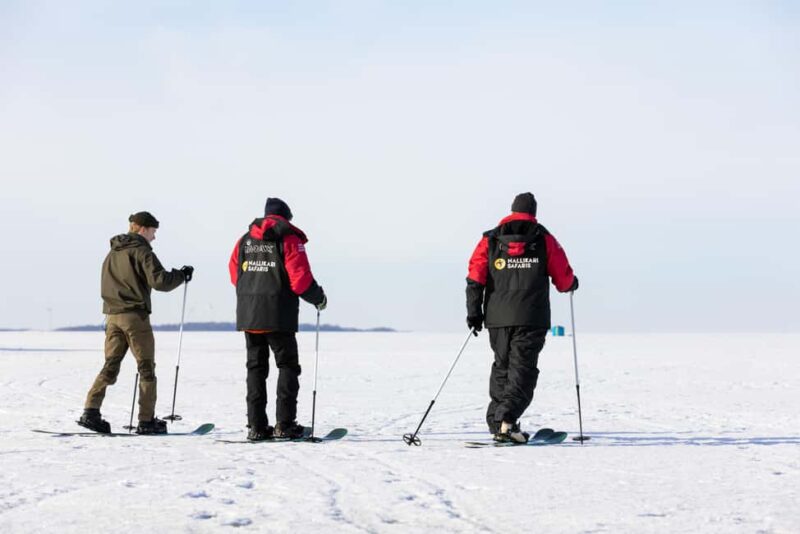 Oulu: Arctic Sea Snowshoe Experience - Practical Details: Meeting Point and Transportation