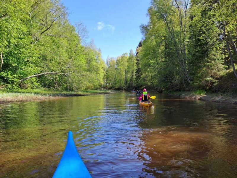 Oulu Delta Kayaking Safari - Key Points