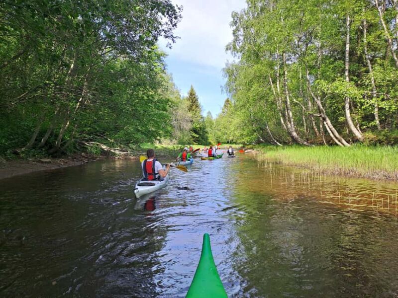 Oulu Delta Kayaking Safari - Practical Details and Group Size