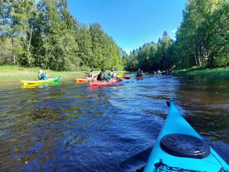 Oulu Delta Kayaking Safari - What Makes This Tour Stand Out in Oulu