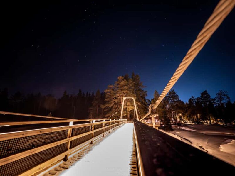 Oulu: Driven Aurora Hunting Tour in Oulu & Nature Spots - Practical Details: Transport, Guides, and Accessibility