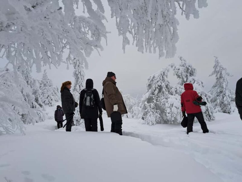 Oulu: Full-Day Trip to Syöte Fells and National Park - Explore Finlands Unique Natural Beauty with the Oulu: Full-Day Trip to Syöte Fells and National Park