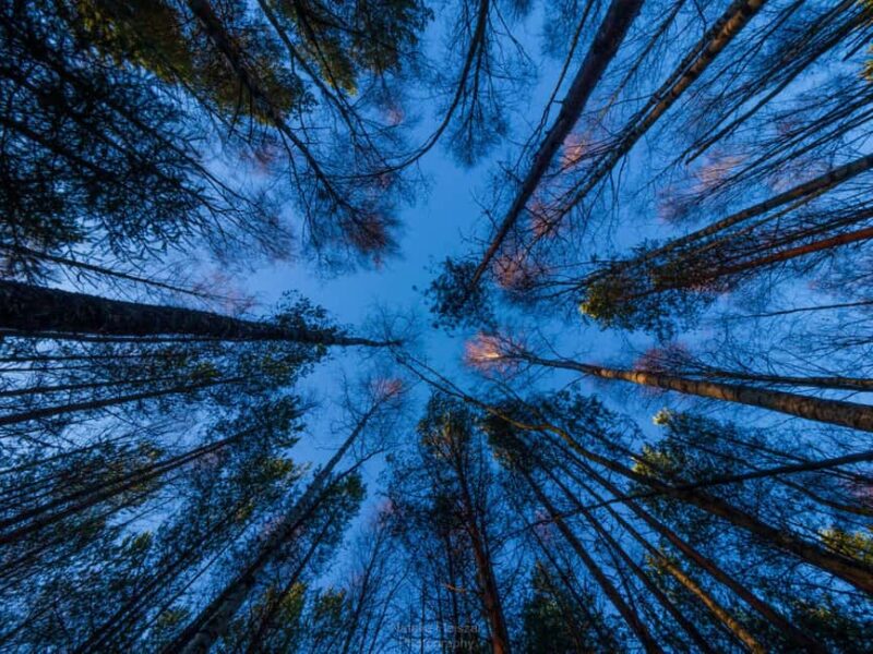 Oulu: Guided Fatbike Tour From Nallikari Around Hietasaari - Discover Oulu’s Seaside Trails on a Fatbike