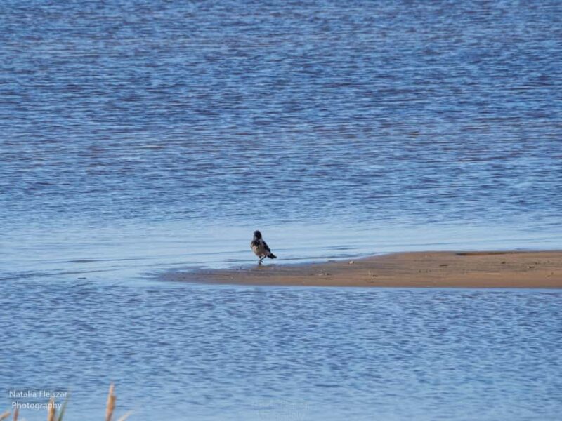 Oulu: Guided Fatbike Tour From Nallikari Around Hietasaari - The Sum Up: A Scenic and Relaxing Finnish Outdoor Experience