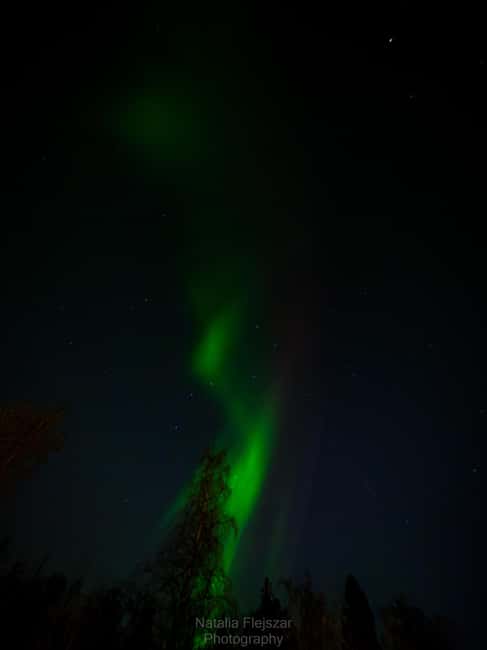 Oulu: Guided Night Walking Tour with Northern Lights Hunting - Learning and Photography Opportunities During the Tour