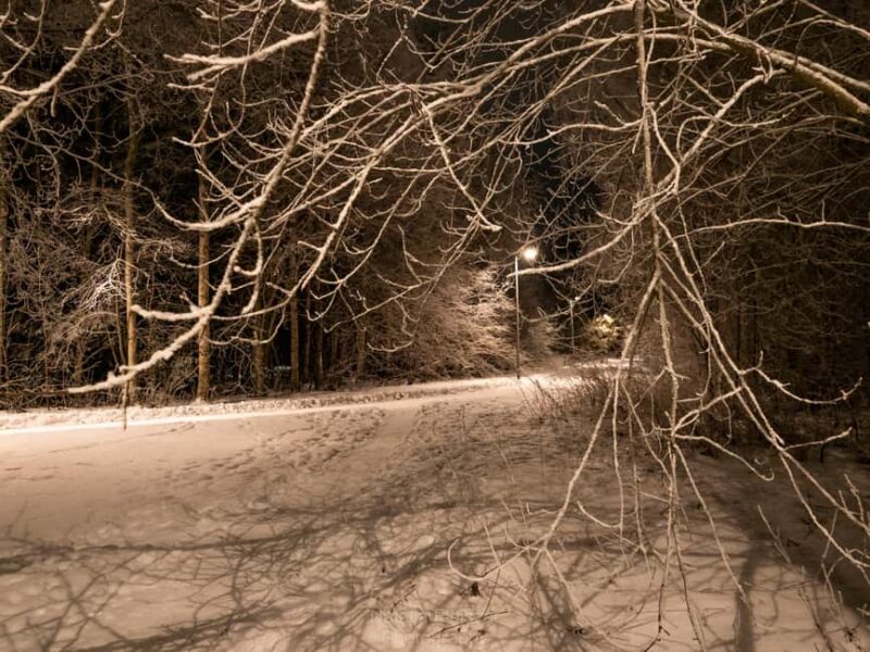 Oulu: Guided Night Walking Tour with Northern Lights Hunting - The Practicalities: Snacks, Photos, and Flexibility