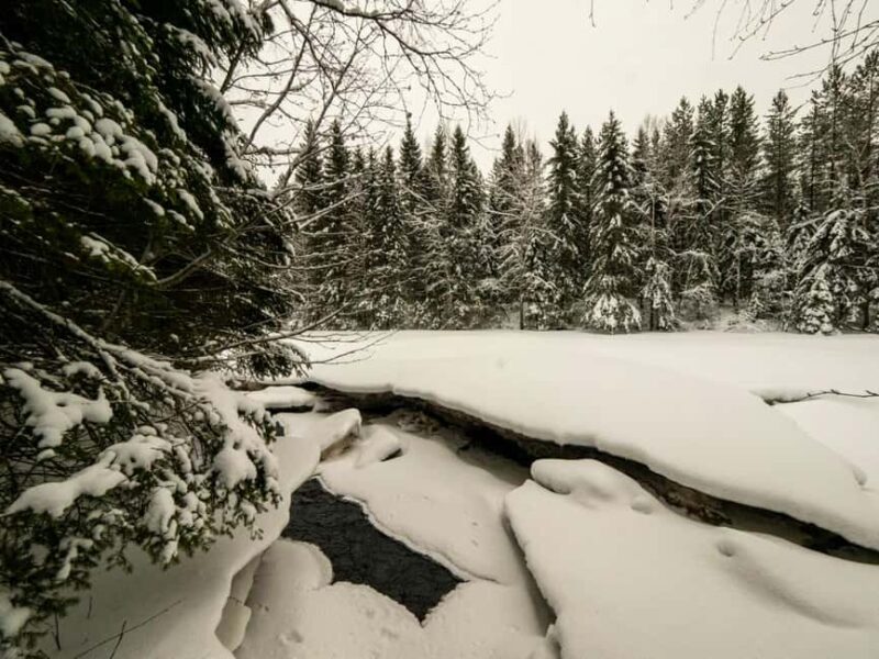 Oulu: Guided Winter Day Trip to Sanginjoki Nature Reserve - Key Points