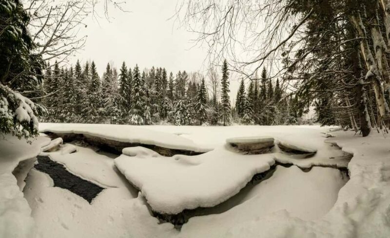 Oulu: Guided Winter Day Trip to Sanginjoki Nature Reserve - The Campfire Experience with Hot Drinks and Snacks