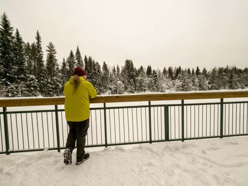 Oulu: Guided Winter Day Trip to Sanginjoki Nature Reserve - Multilingual Guides and Booking Flexibility