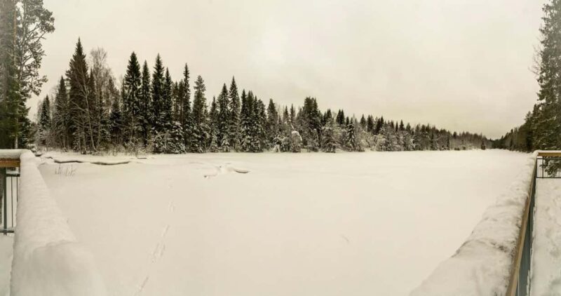 Oulu: Guided Winter Day Trip to Sanginjoki Nature Reserve - What Sets This Tour Apart from Similar Experiences in Oulu