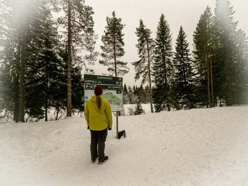 Oulu: Guided Winter Day Trip to Sanginjoki Nature Reserve - How This Tour Compares in Value and Quality