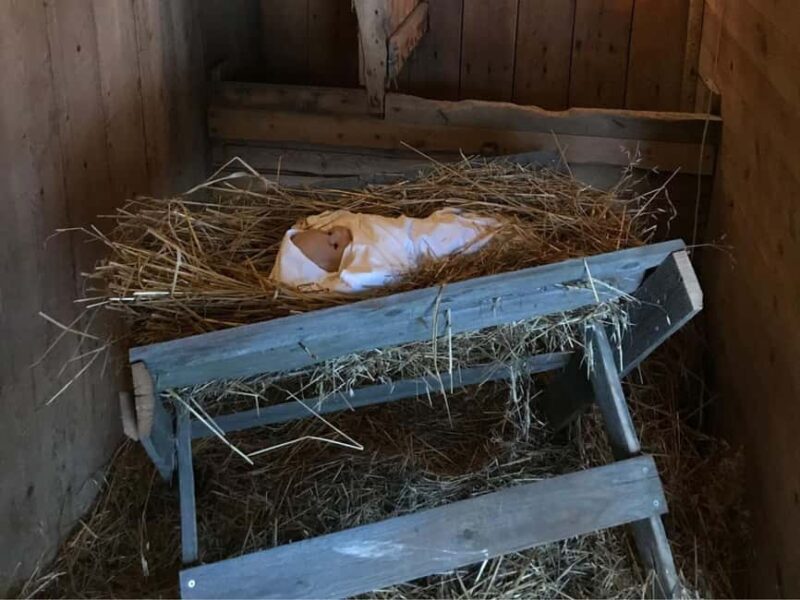 Oulu: Reindeers & Christmas Trees - Frequently Asked Questions