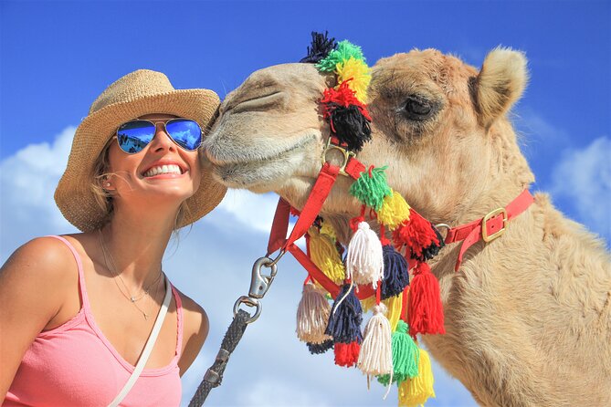 Outback Camel Ride - Discover the Outback Camel Ride in Cabo San Lucas for $98.10