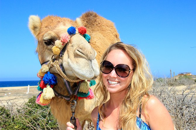 Outback Camel Ride - Key Points