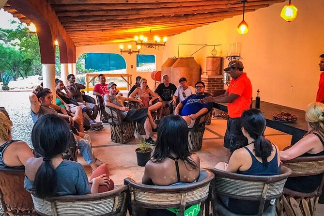 Outdoor and Zipline Adventure in Baja California - The Physical Demands and Suitability