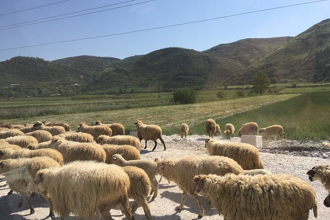 Outdoor Experience in Amantia Archeological Park & Brataj Bidge - Starting Point and Logistics in Vlora