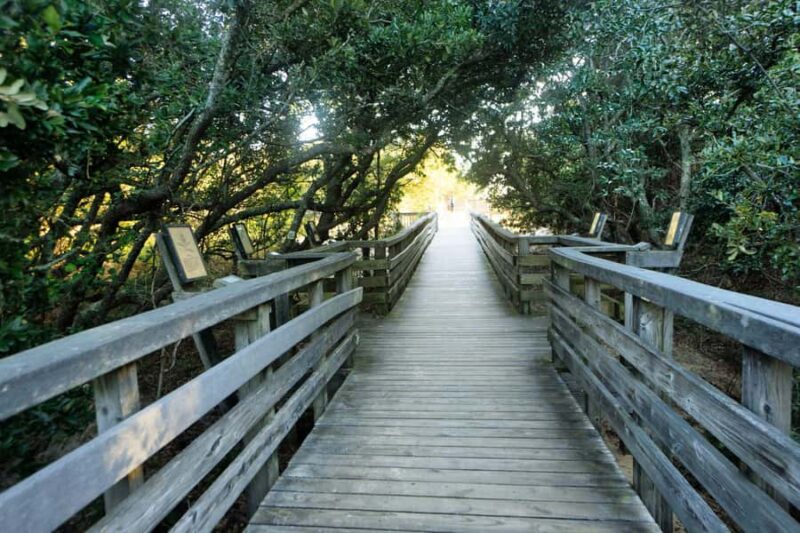 Outer Banks: Explore the OBX with a Local Photographer - Value and Flexibility of Booking