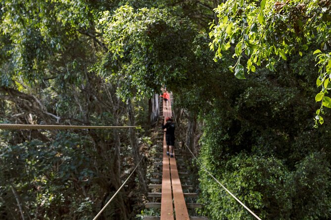 Outfitters Kauai: EXCLUSIVE Waterfall, Kayak and Zipline Safari - Kayaking Down the Huleia River to Waterfalls and Swimmers’ Pools