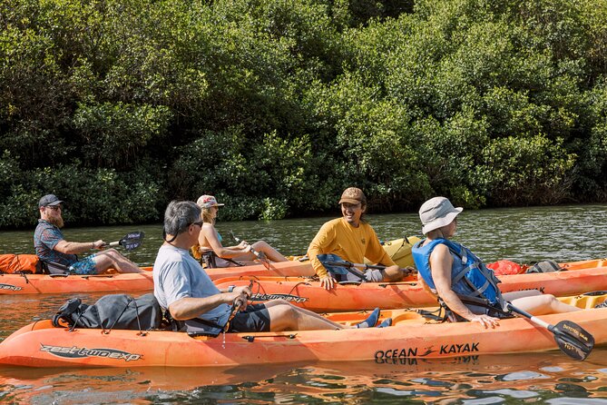Outfitters Kauai: EXCLUSIVE Waterfall, Kayak and Zipline Safari - Relaxing on a Motorized Canoe Return Voyage