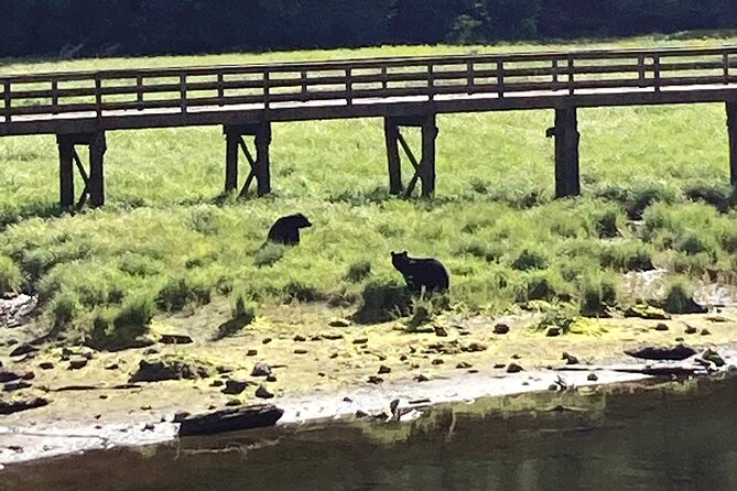 OVER THE TOP TOURS city highlights, wildlife and more! - Convenience and Meeting Details in Ketchikan