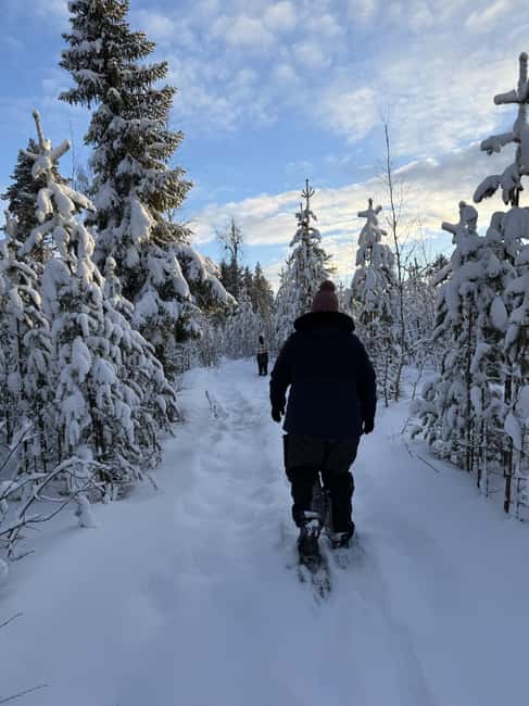 Överkalix - Lapland : Full-Day Snowshoe Tour with Lunch - Wildlife Watching and Animal Track Tracking