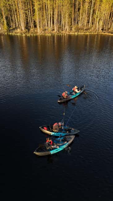Överkalix: Lapland Half-Day Guided Kayak with Fika - Key Points