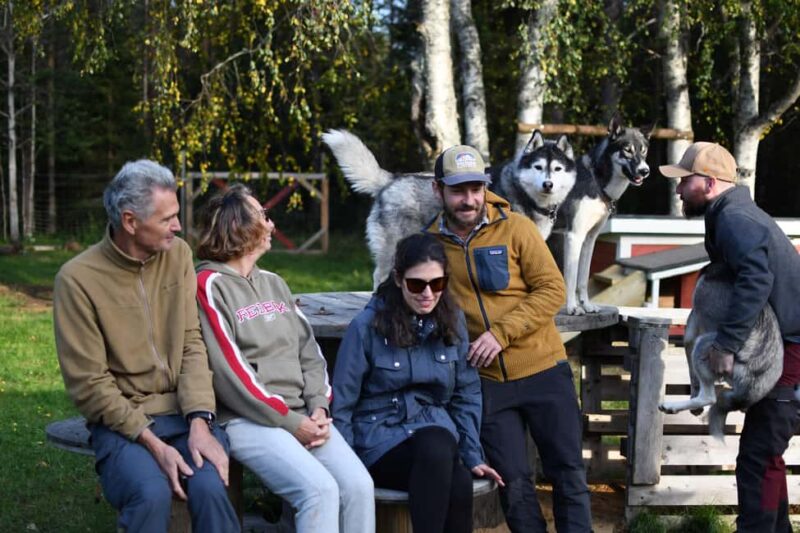 Överkalix - Lapland : Husky Cuddle and Fika Experience - Discover the Husky Cuddle and Fika Experience in Norrbotten County