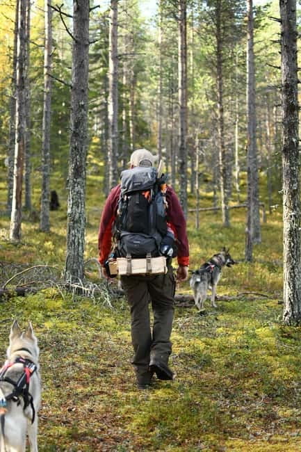 Överkalix - Lapland : Private Summer Hike with Lunch - Explore Swedish Lapland with a Private Summer Hike in Överkalix