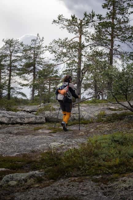 Överkalix - Lapland : Private Summer Hike with Lunch - The Scenic Trails of Swedish Lapland