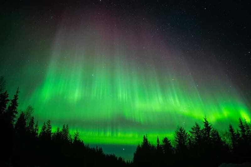 Överkalix - Lapland : Snowmobile Tour with Northern Lights - Snowmobiling through the Night in Överkalix